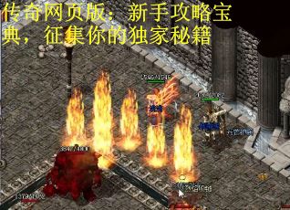 传奇网页版：新手攻略宝典，征集你的独家秘籍