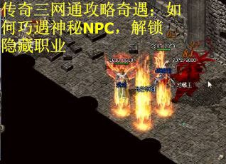 传奇三网通攻略奇遇：如何巧遇神秘NPC，解锁隐藏职业