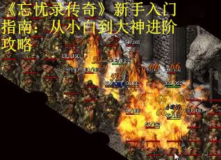 《忘忧录传奇》新手入门指南：从小白到大神进阶攻略