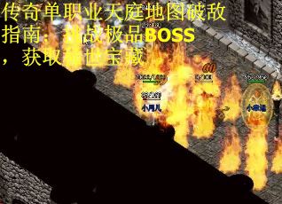 传奇单职业天庭地图破敌指南：挑战极品BOSS，获取稀世宝藏